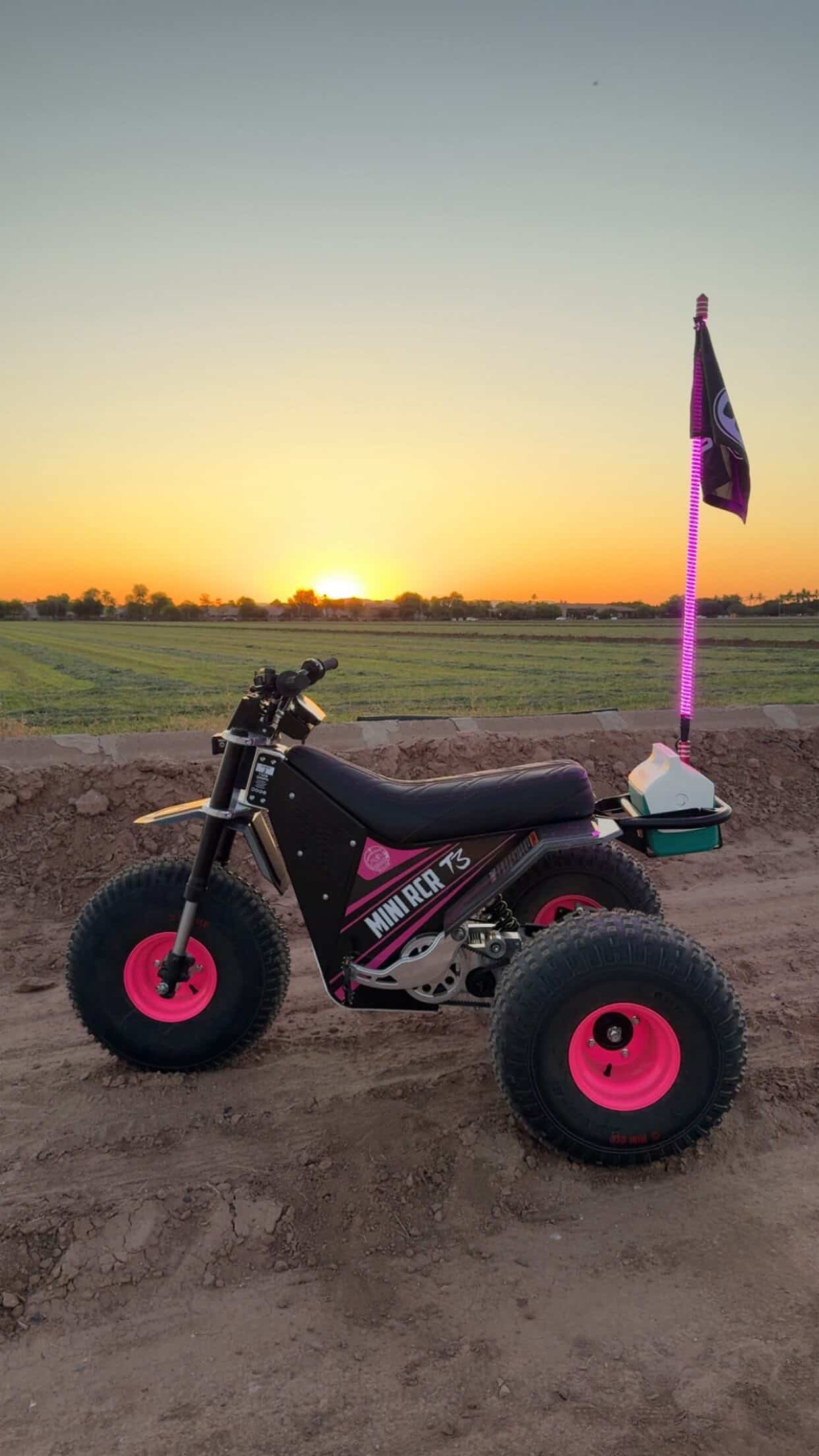 Game Changer LED Whip - Malibu Barbie Pink Single-Marshin Whips-2 FT-RED-Black Market UTV