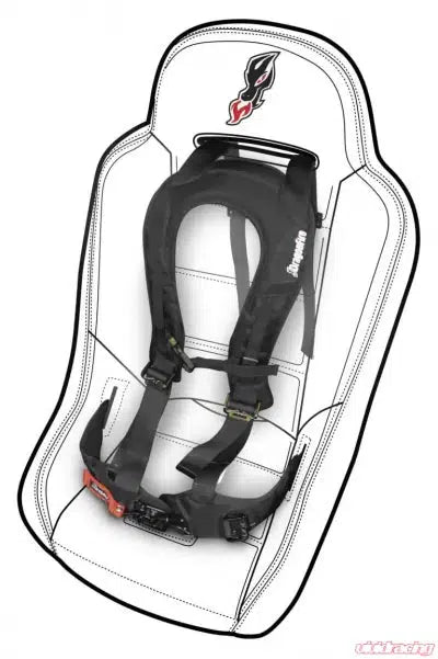 DragonFire 2" EVO Harness Black