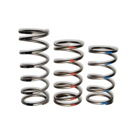 TAPP PRIMARY CLUTCH SPRINGS-spring-EVP-Blue 100/190-Black Market UTV