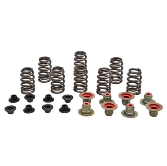 KIBBLEWHITE &quot;BEEHIVE&quot; RACING SPRING KIT FOR POLARIS RZR-Valve Springs-Packard Performance-Black Market UTV