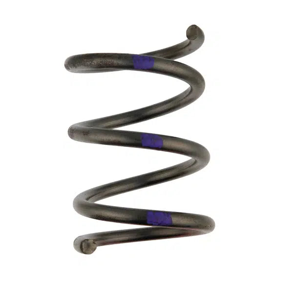 KWI ULTRASHIFT 2200 SPRING (SILVER/PURPLE)-Clutch Spring-KWI Clutching-Black Market UTV