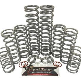 Shock Therapy Level 4 Shock Spring Kit-spring-Shock Therapy-Black Market UTV