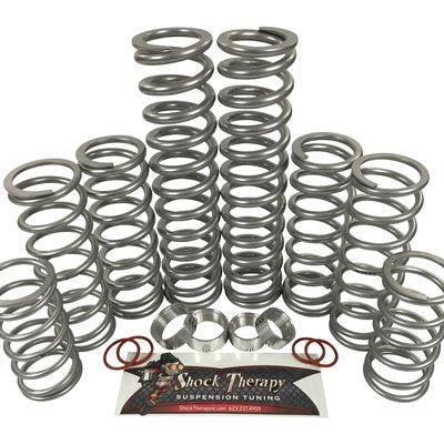 Shock Therapy Level 4 Dual Rate Spring Kit-spring-Shock Therapy-Black Market UTV